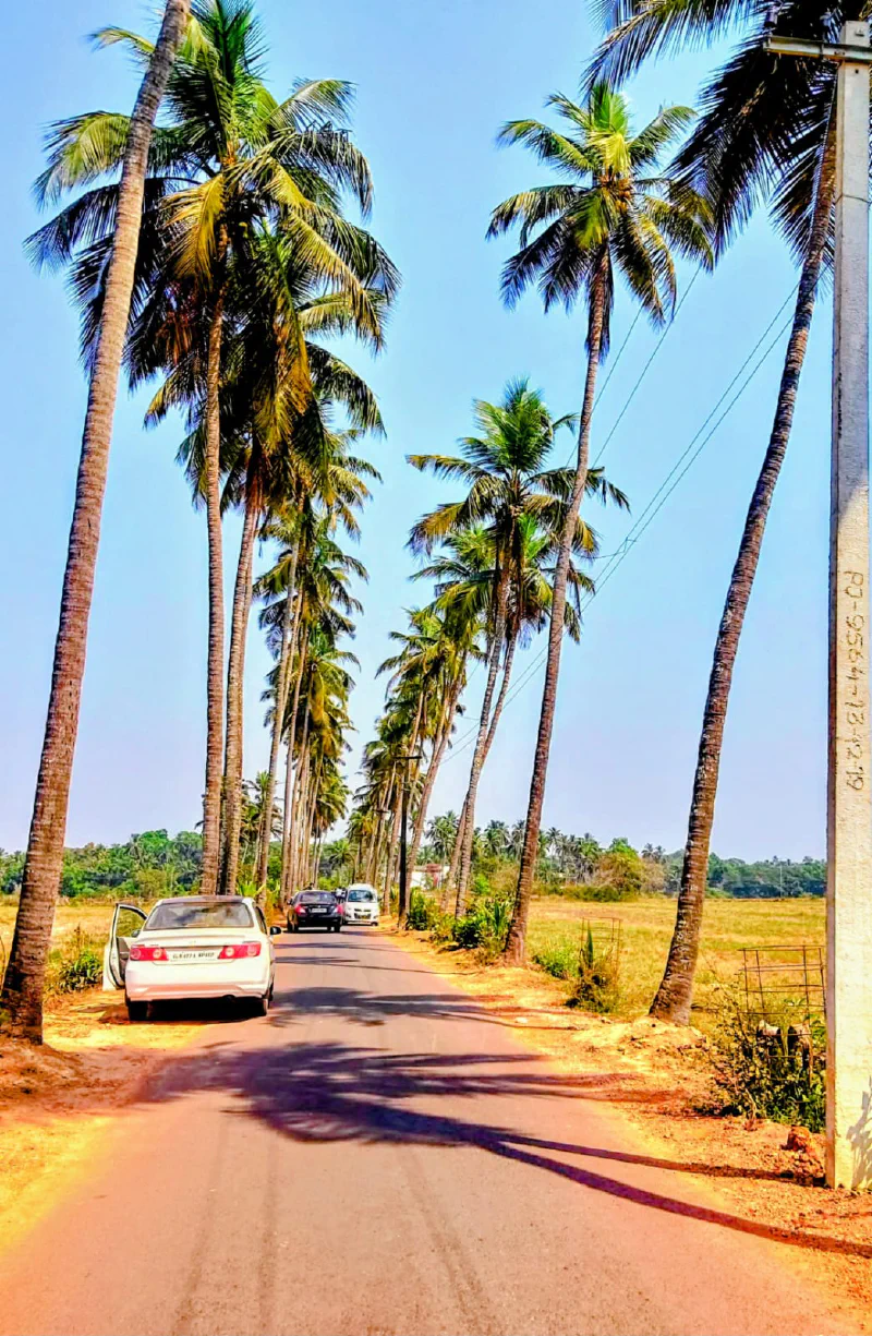 Dear Zindagi - Parra Road